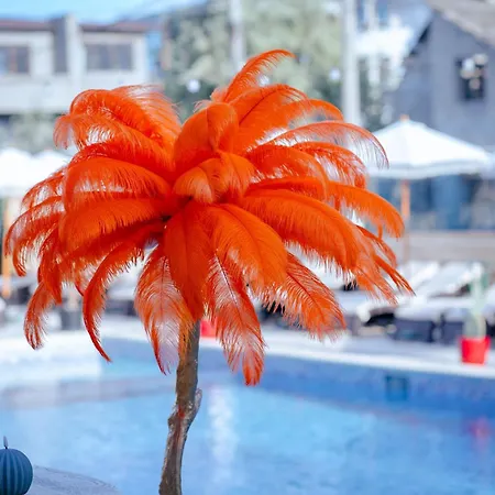 Отель Almar Luxury Нэводари